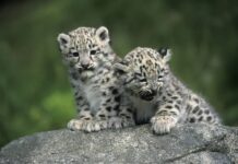 Какой праздник отмечают в России и мире сегодня, 23 октября 2023 года