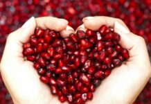 Какой праздник отмечают в России и мире сегодня, 26 октября 2023 года