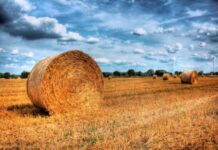 Канун Покрова Пресвятой Богородицы и праздник Михаила Соломенного: традиции и запреты 13 октября