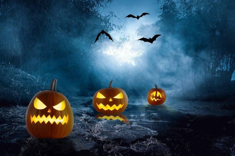 <br />
О какой опасности предупреждают экстрасенсы на Хэллоуин 31 октября 2023 года                