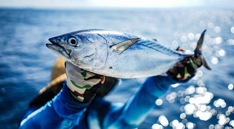 <br />
Почему рыба может быть опасной для здоровья и какие виды лучше не есть: мнение токсиколога                