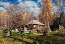 Праздник святых Трофима и Зосимы 2 октября: традиции, запреты и сильная молитва