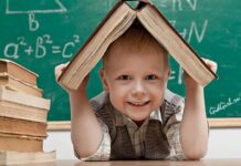 Школьные каникулы 2023—2024: точные даты осенних, новогодних и весенних каникул для школ на весь учебный год