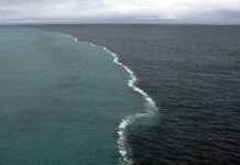 Гольфстрим замедлился до минимума: чем это чревато для человечества