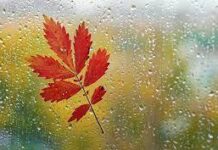 Гороскоп от Ирины Богдан на 27 ноября 2023 года для всех знаков зодиака