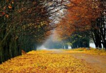 Гороскоп от Ирины Богдан на 30 ноября 2023 года для всех знаков зодиака