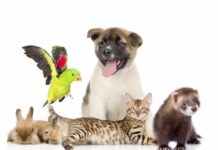 Какие праздники отмечают в России и мире 30 ноября 2023 года