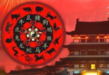 Китайский гороскоп на неделю: чего ожидать с 27 ноября по 3 декабря