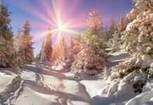 День зимнего солнцестояния 21 декабря 2023 года: что ни в коем случае нельзя делать и как правильно загадать желание