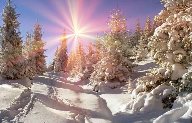 <br />
День зимнего солнцестояния 21 декабря 2023 года: что ни в коем случае нельзя делать и как правильно загадать желание                