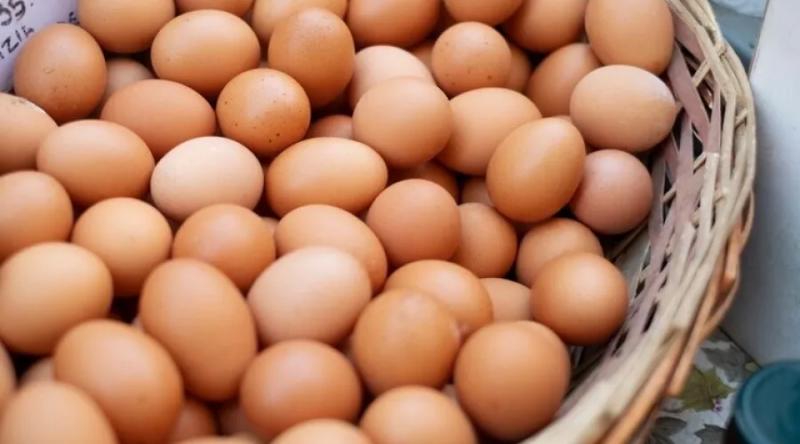 <br />
Десяток яиц к новому году может достигнуть 200 рублей: почему происходит «яичная инфляция» в Сибири?                