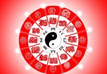 Год Зеленого Дракона 2024: Какие звезды укажут путь к успеху для разных знаков китайского гороскопа