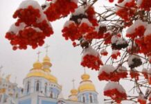 Грехи недели: советы церкви и народа на неделю с 18 по 24 декабря 2023 года