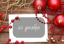 Какие праздники отмечают в России и мире 20 декабря 2023 года