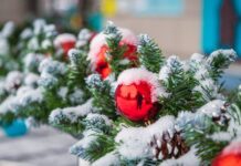 Рождественский Сочельник 2023: волшебство и традиции католиков 24 декабря