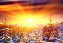 Самая длинная ночь, звездопады и зеркальная дата: мистика и правда про 22 декабря 2023 года