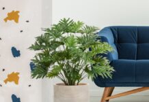 Кашпо в офисе: особенности размещения