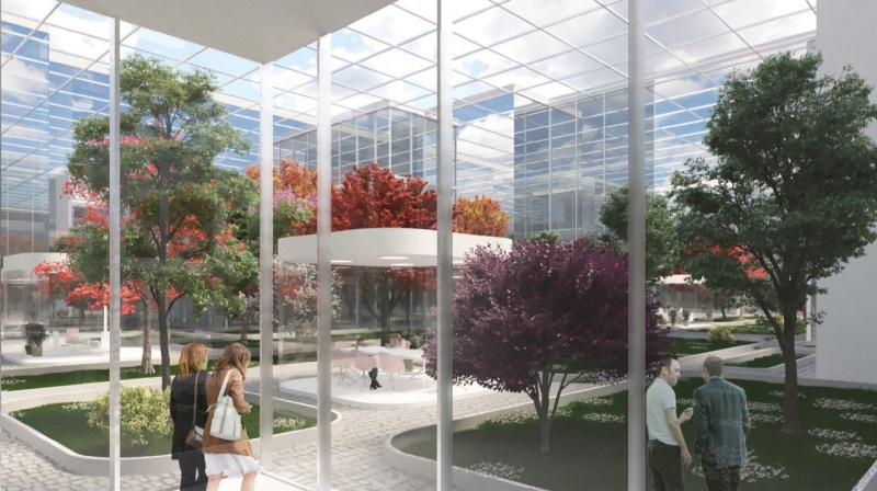 Ботанический сад ЧелГУ станет лицом главного корпуса межуниверситетского кампуса