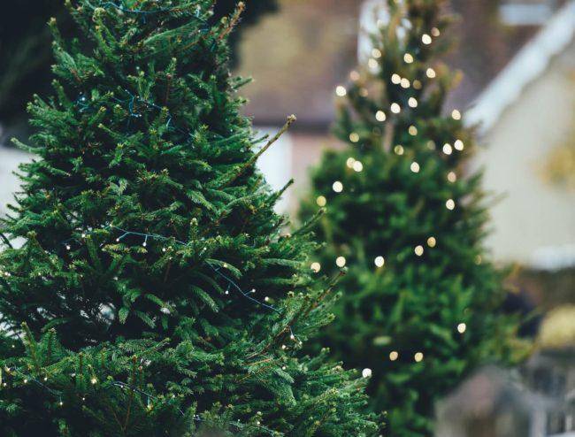 <br />
Когда убирать елку после Нового года: приметы, феншуй и рекомендации                