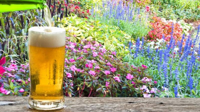 <br />
Пиво и его влияние на организм: аспекты здоровья мужчин и женщин                
