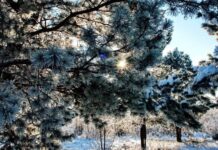 Почему Гордеев день 16 января считали наиболее удачным в году для избавления от негатива