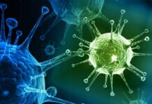 Политолог предупреждает о глобалистском заговоре через «болезнь X»