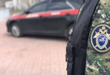 Самые странные злодеяния 2023 года: от банальных конфликтов до макабре на действие