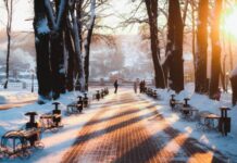 Тельцам держать себя в руках, Весам не вмешиваться в чужие конфликты: гороскоп на 10 января 2024 года