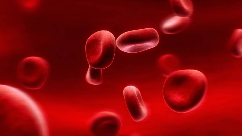 <br />
У людей с какой группой крови самый сильный иммунитет и крепкое здоровье, выяснили учёные                