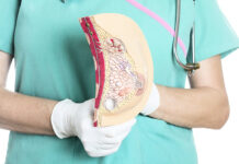 Какие болезни лечит маммолог?