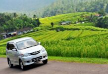 Аренда автомобиля на Бали: где можно арендовать транспорт?