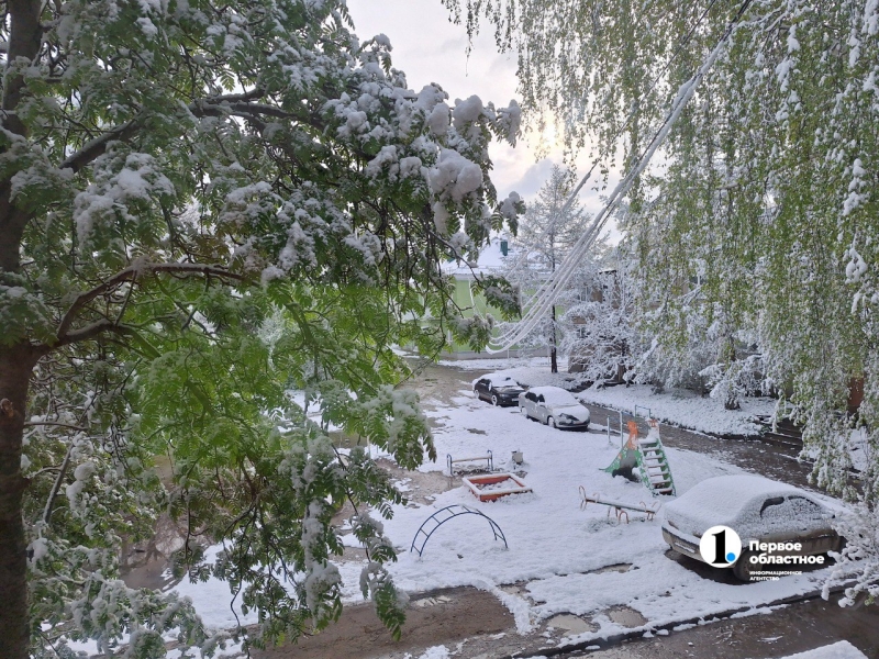 Челябинскую область 10 мая накрыло снегом