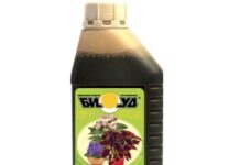 Удобрение для цветов: чем подкормить?