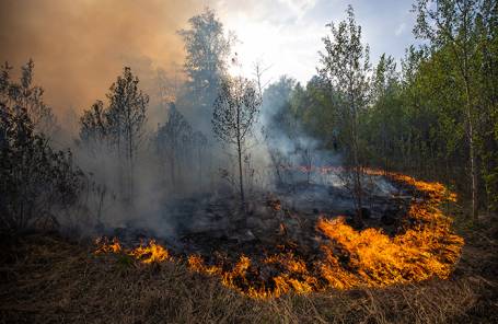 <br />
Что происходит с лесными пожарами в Якутии и на Колыме                