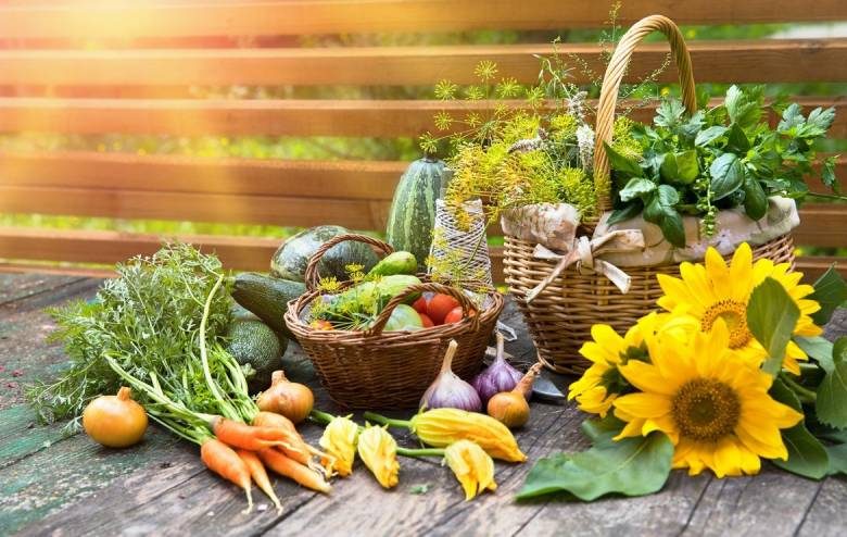 <br />
Огород по лунному календарю: благоприятные дни для уборки овощей в сентябре 2022 года                