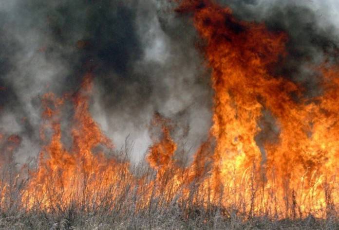 <br />
Пожары в Курганской, Тюменской, Свердловской областях: последние новости на 10 мая 2023 года                