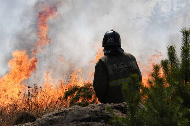 <br />
Страховая компенсация для пострадавших от лесного пожара: реальность или вымысел?                