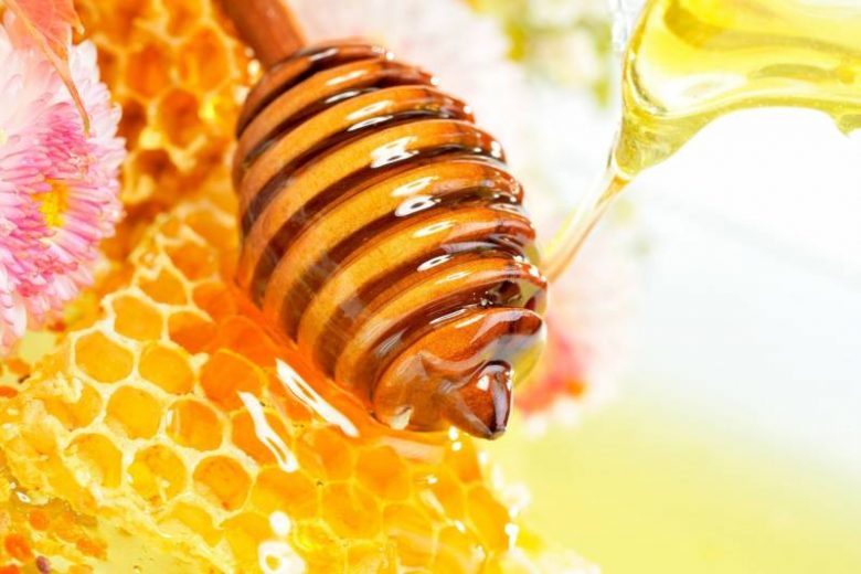 <br />
Традиции и обряды Медового Спаса: зачем 14 августа мазать руки мёдом и почему нужно обязательно искупаться                