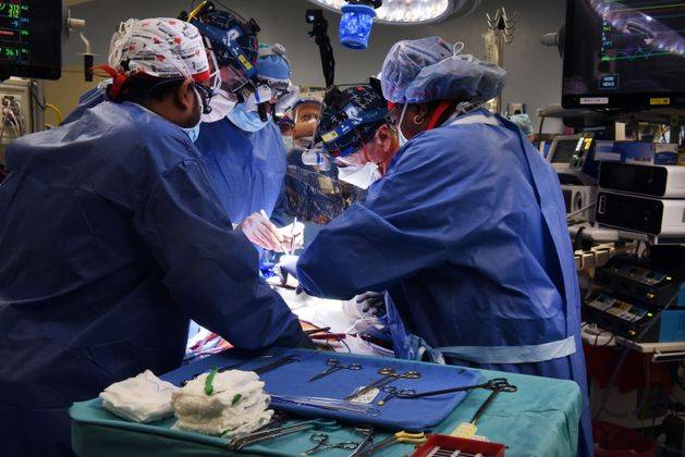 <br />
В США умер второй пациент, которому пересадили сердце свиньи                